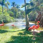 Sarasota Jungle Gardens