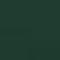 Evergreen