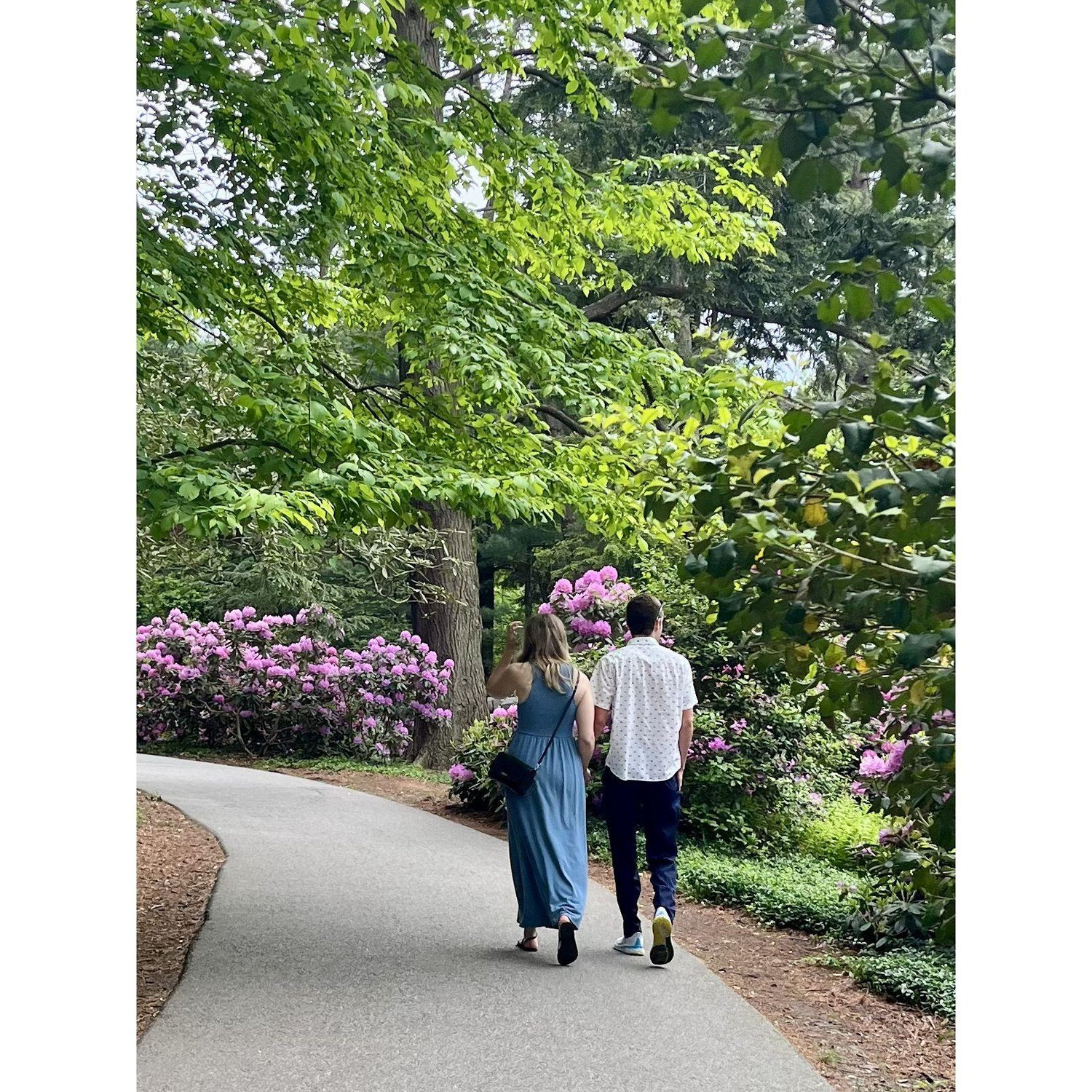 May 2025: a day at the Biltmore Estate in Asheville, NC