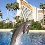 Siegfried & Roy's Secret Garden and Dolphin Habitat