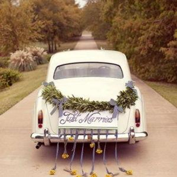 Our newlywed fund