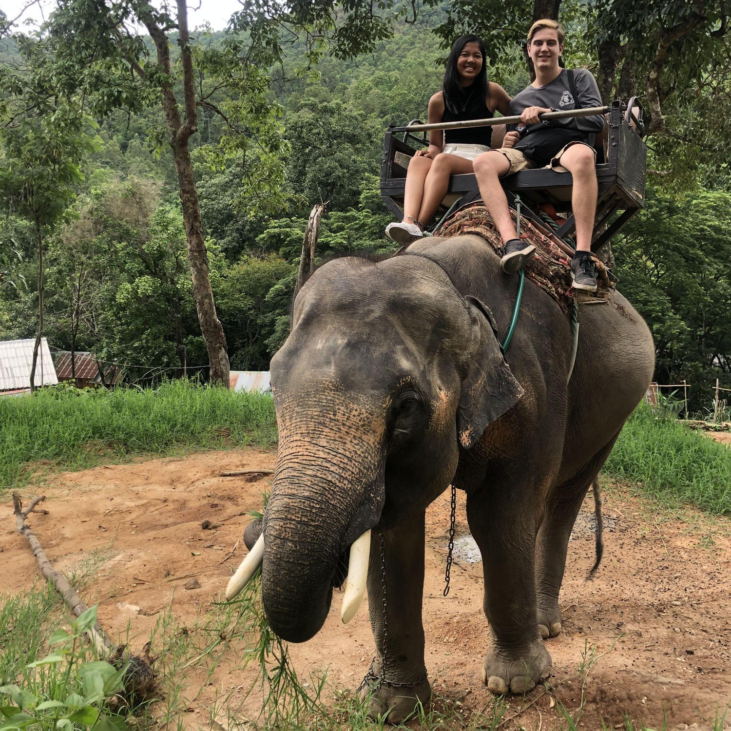 Thailand, on Elephant, obviously
