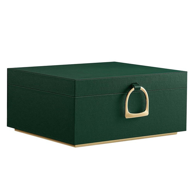 SONGMICS 2-Layer Jewelry Box, Jewelry Organizer with Handle, Removable Jewelry Tray, Jewelry Storage, Floating Effect, 8.1 x 9.4 x 4.3 Inches, Gift Idea, Forest Green UJBC165C01
