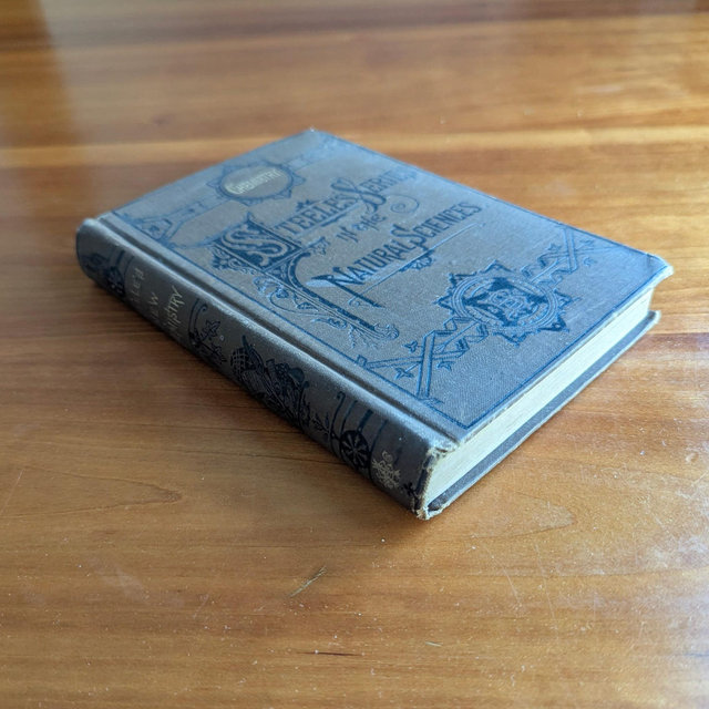 Antique Chemistry Book 1870s | Embossed Victorian Cloth Cover | Steele’s Fourteen Weeks in Chemistry | Dark Academia Decor
