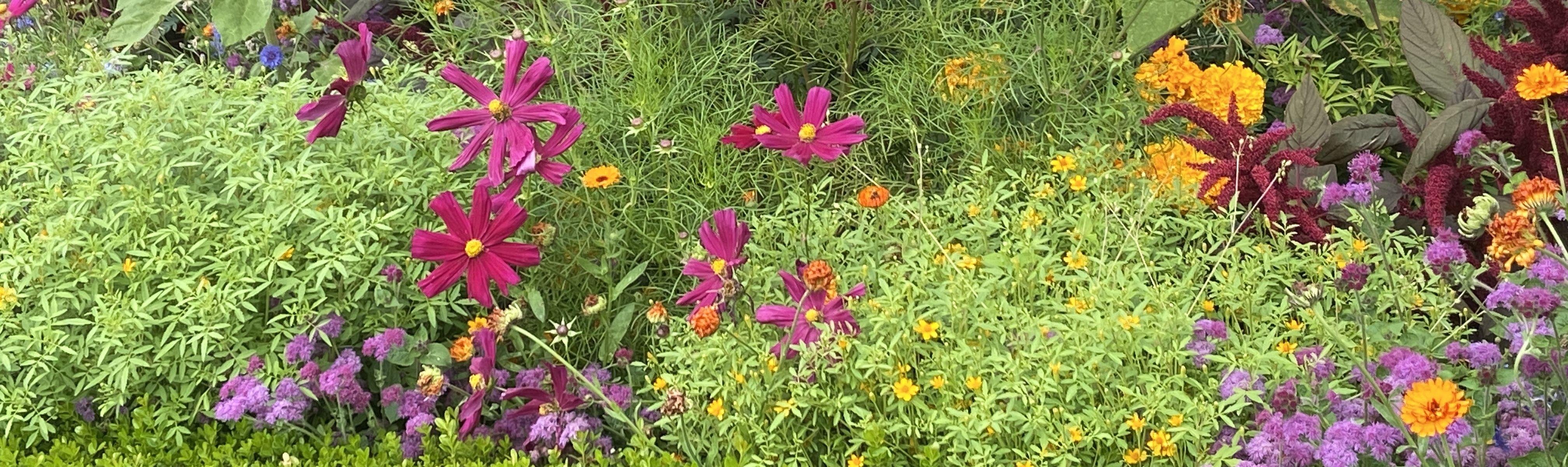 The Wedding Website of Nicole Greco and Jacob Gaddy