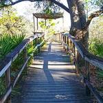 Erna Nixon Park