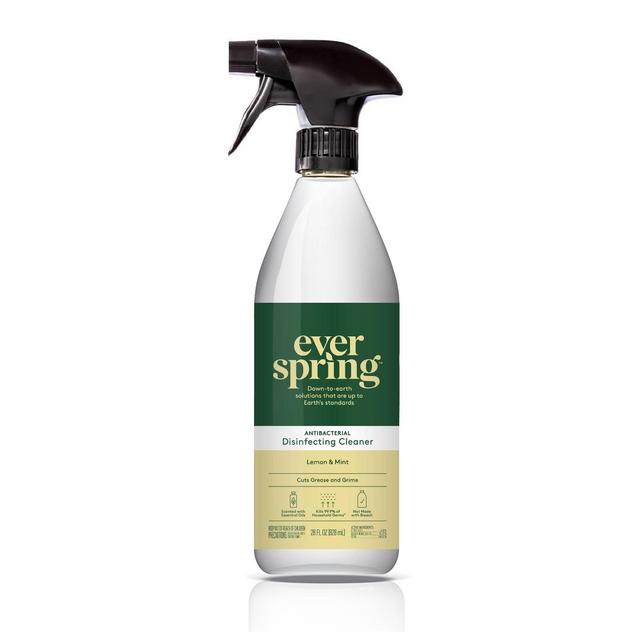 All Purpose Disinfecting Spray - Lemon & Mint - 28 fl oz - Everspring™