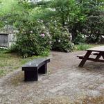 Sampson Park and Faunce Memorial Forest