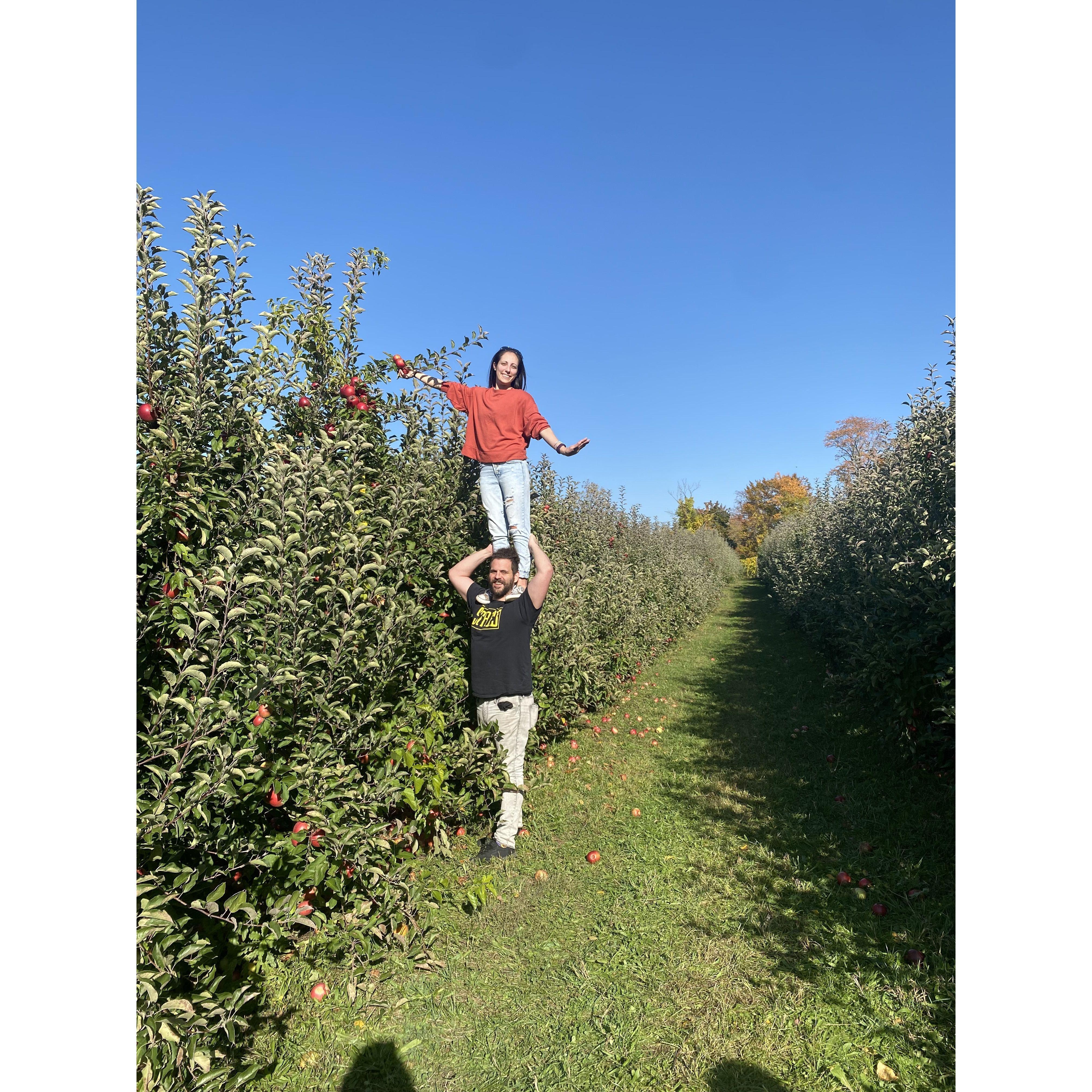 How do you give Mary a zoomie? Take her apple picking in Warwick in the Fall.