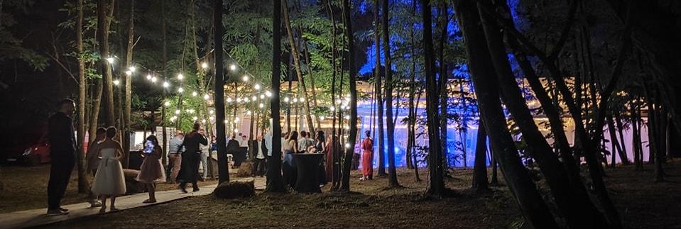 The Wedding Website of Erik Järdhage and Maja Barbarić