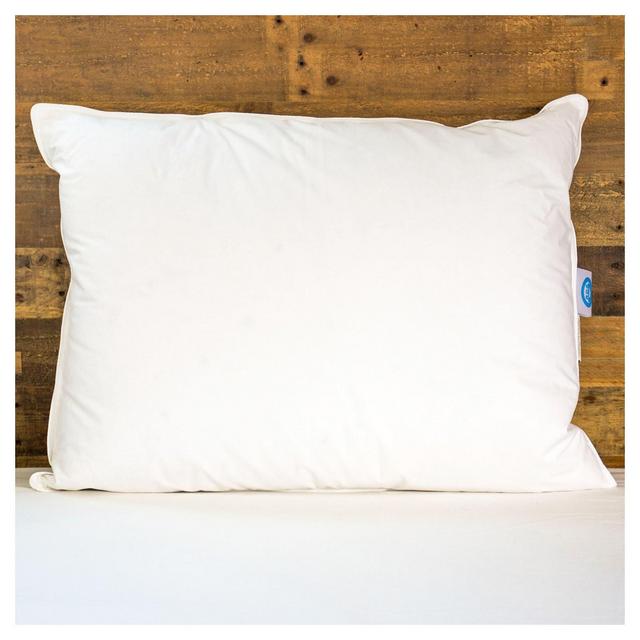 Responsible Down Standard White Duck Down Queen Pillow