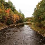 Jamaica State Park