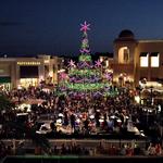 The Shops at Wiregrass