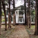 Rowan Oak