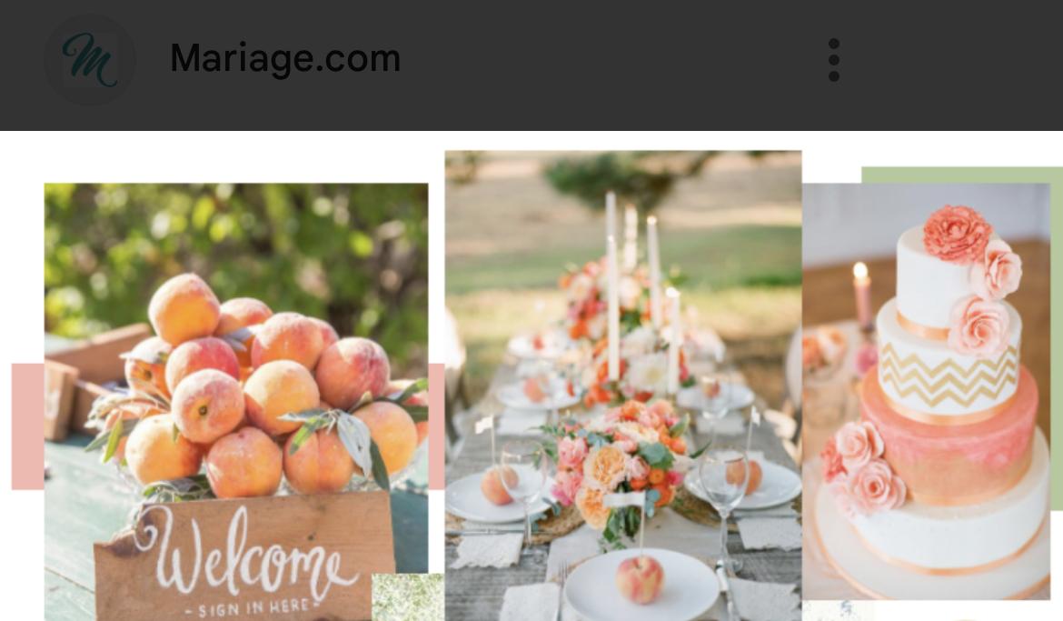 The Wedding Website of Claudia Ladouceur -Parent and Ylarick Vachon
