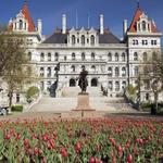 New York State Capitol