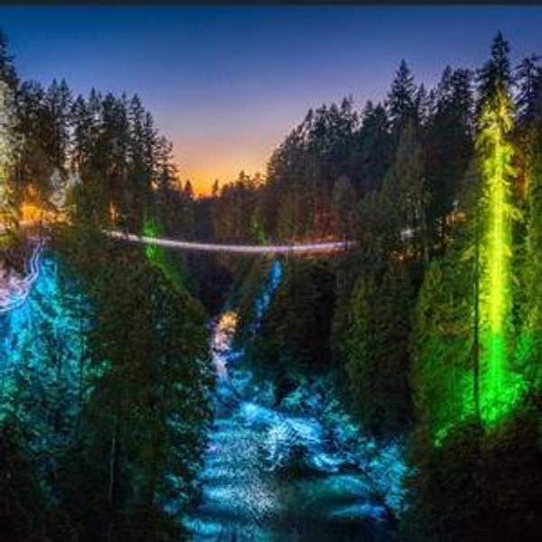 Capilano suspension bridge tour