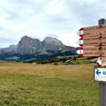 Alpe di Siusi