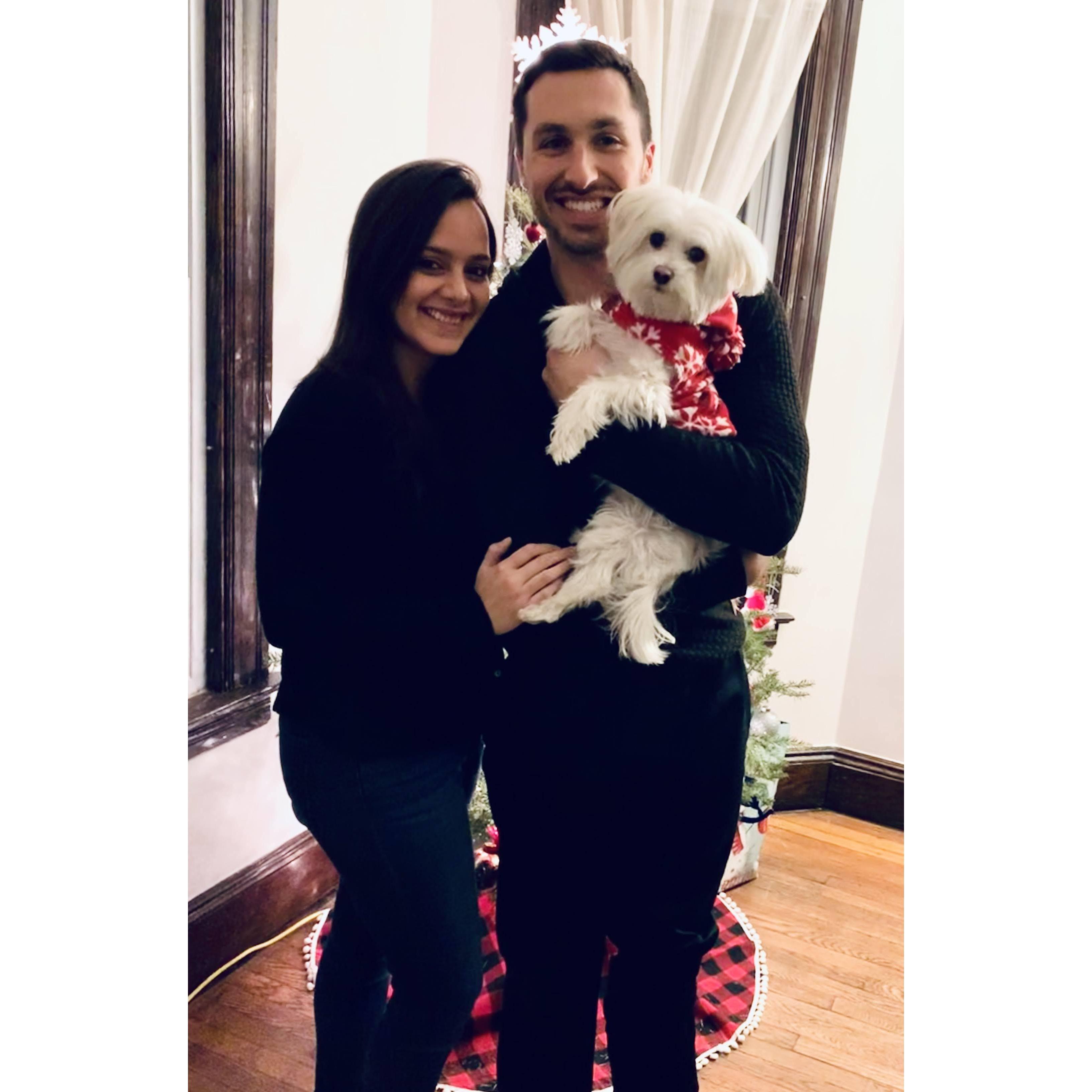 December 2019- We celebrated our first holiday season with Mia! In October 2019 we became furparents to Mia! She turned our house into a home.