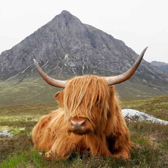 Our First Anniversary Trip to Scotland
