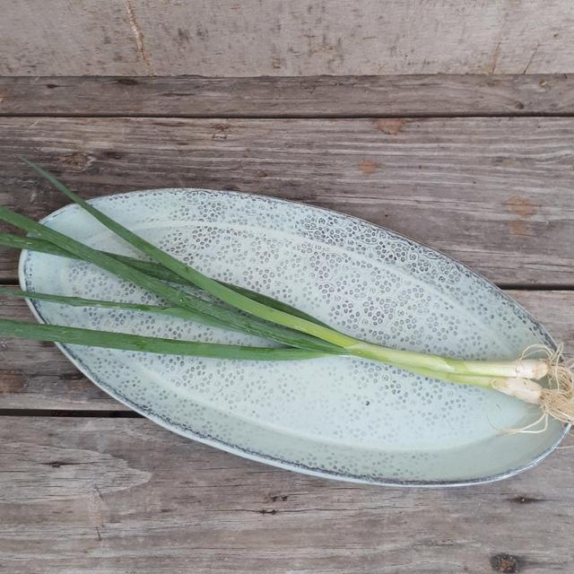 Big ceramic light blue oval platter