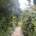 Clay Head Nature Trail