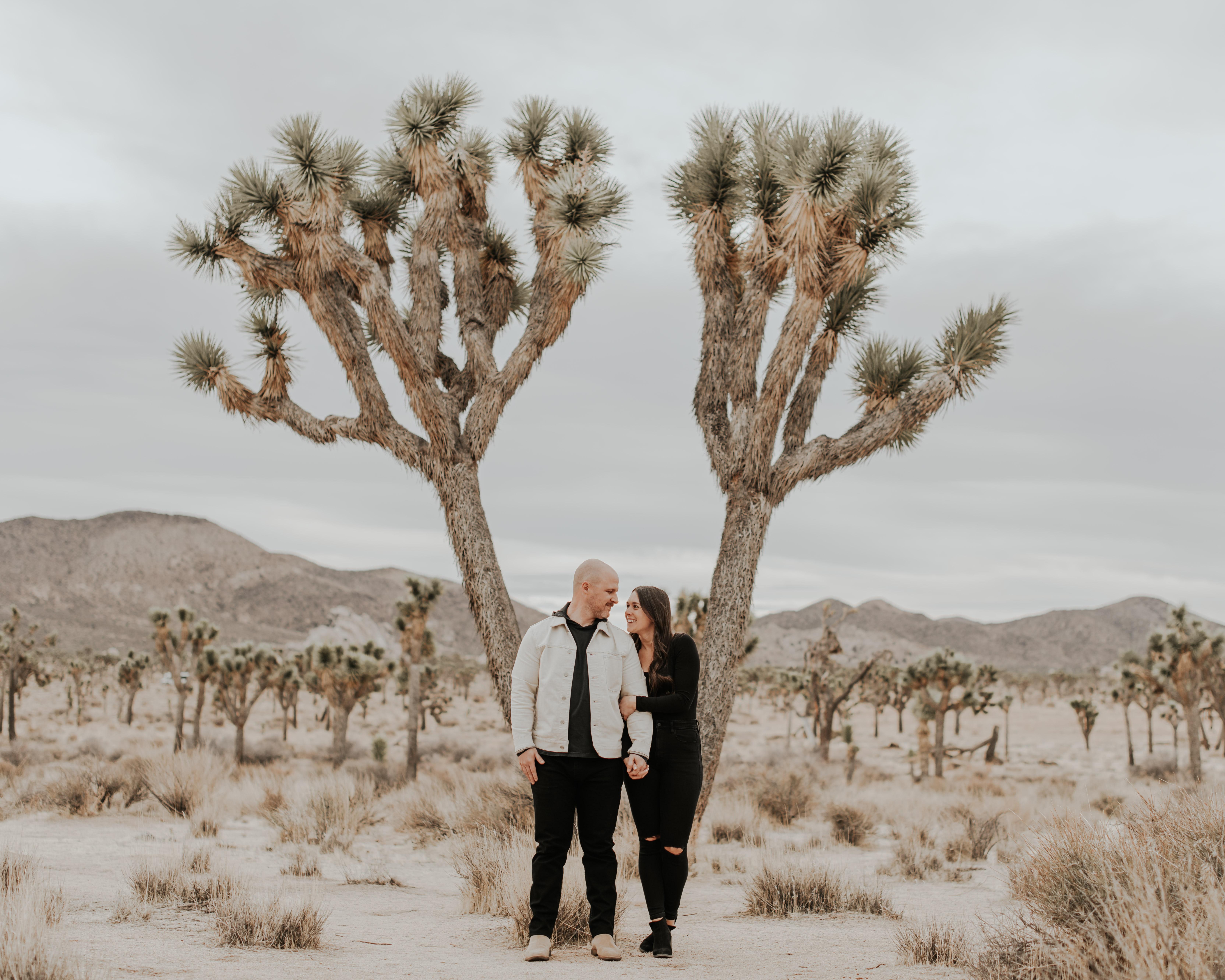 The Wedding Website of Nicole Best and Dave McCarthy