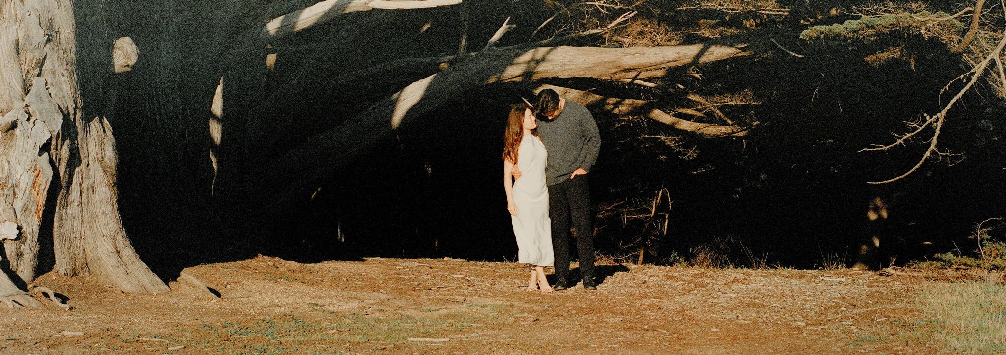 The Wedding Website of Bejan Esmaili Zamora and Sophie Jacques