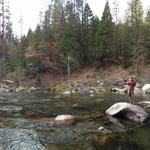 Calaveras Big Trees State Park
