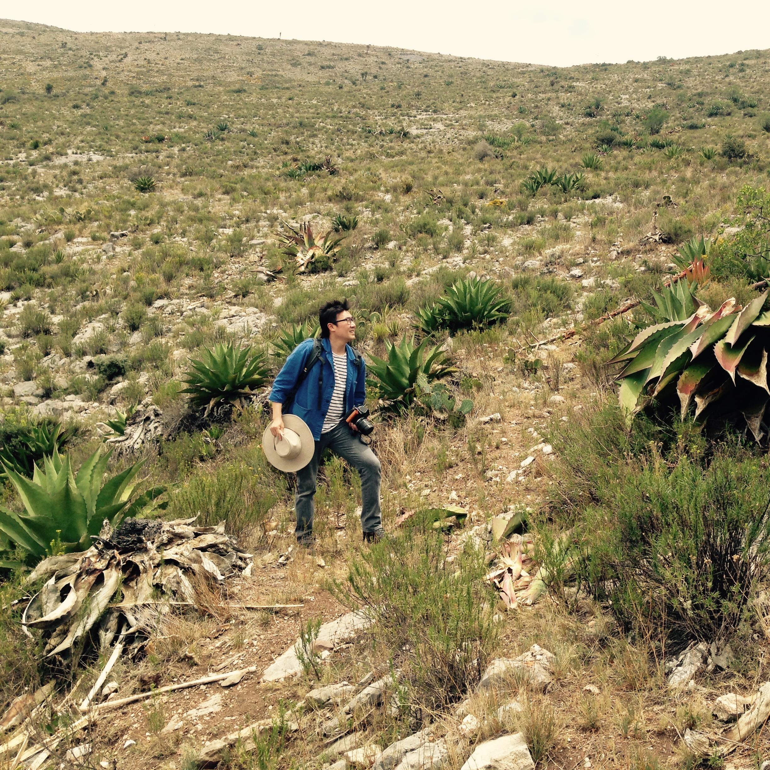 On our way to Pueblo Fantasma