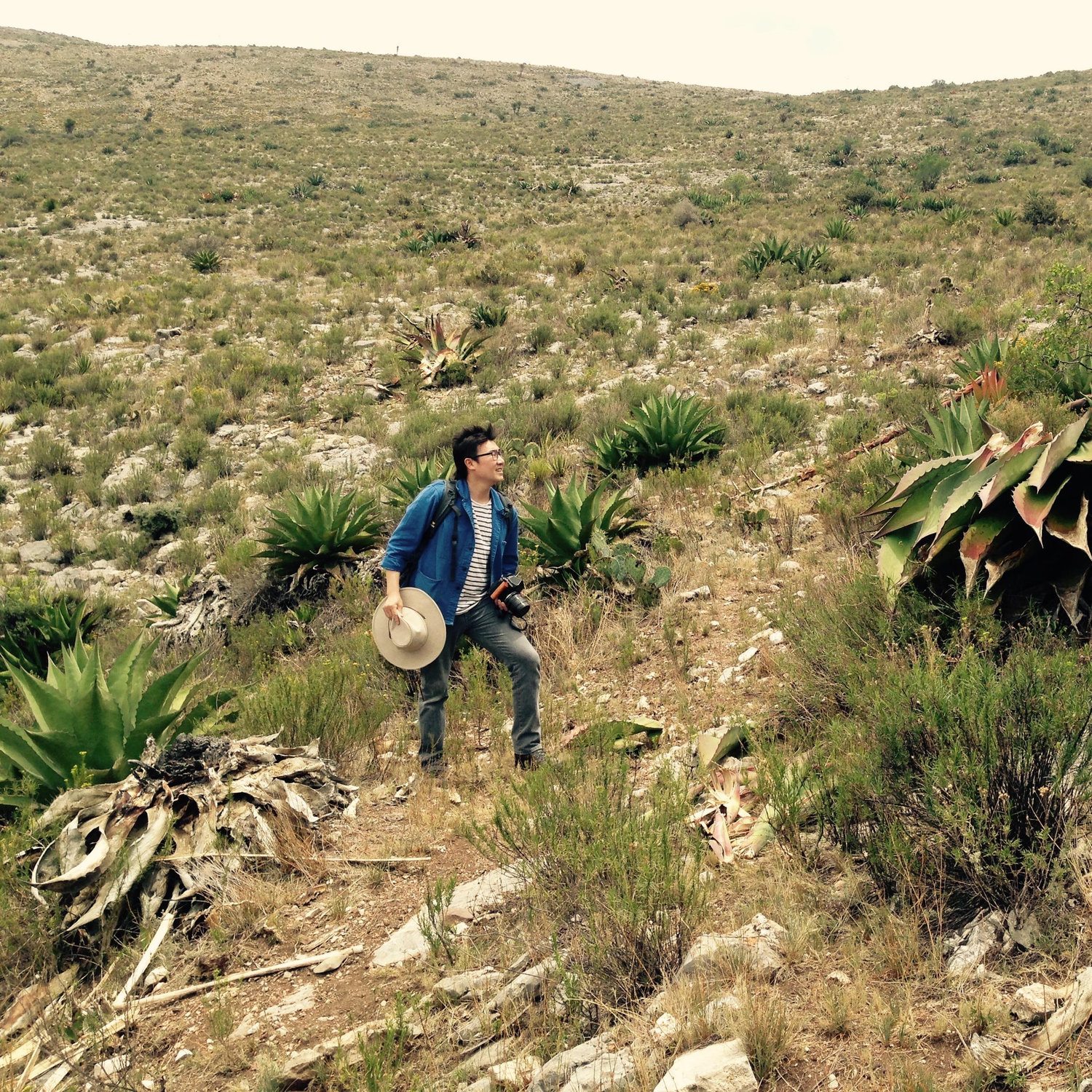 On our way to Pueblo Fantasma