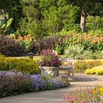 Cheekwood Botanical Gardens & Estate