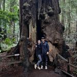 Muir Woods National Monument