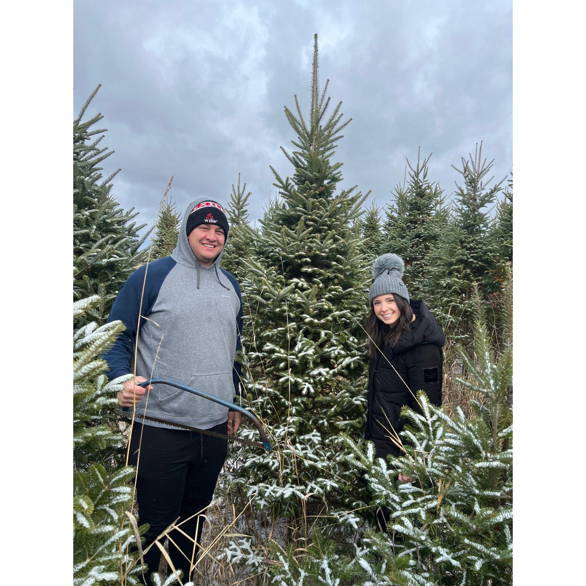 Cutting down our 2023 Christmas tree!