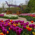 Tulsa Botanic Garden