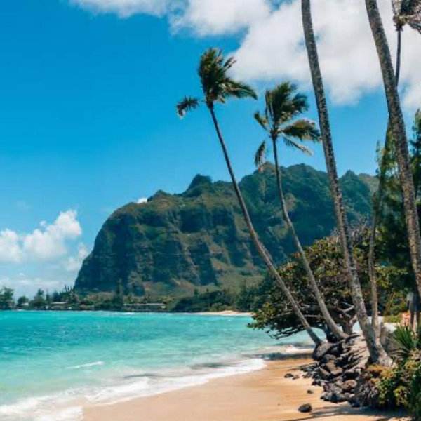 Our Honeymoon Fund - Hawaii!
