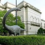 Carnegie Museums of Art and Natural History
