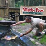 St. Augustine Alligator Farm Zoological Park