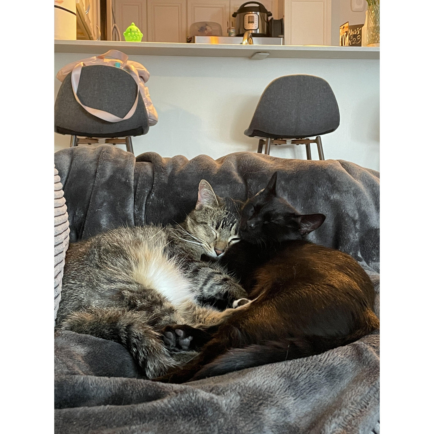 Our babies <3