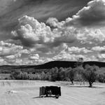 Balderdash Cellars