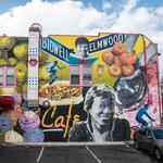 Elmwood and Allentown Area