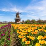 Windmill Island Gardens