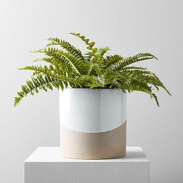 Faux Fern Plant