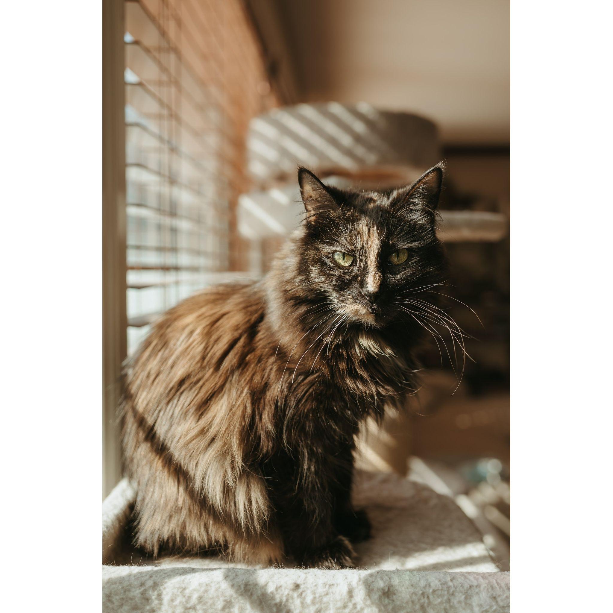 We miss you so much, Daisy.