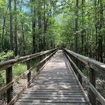 Blackwater River State Park