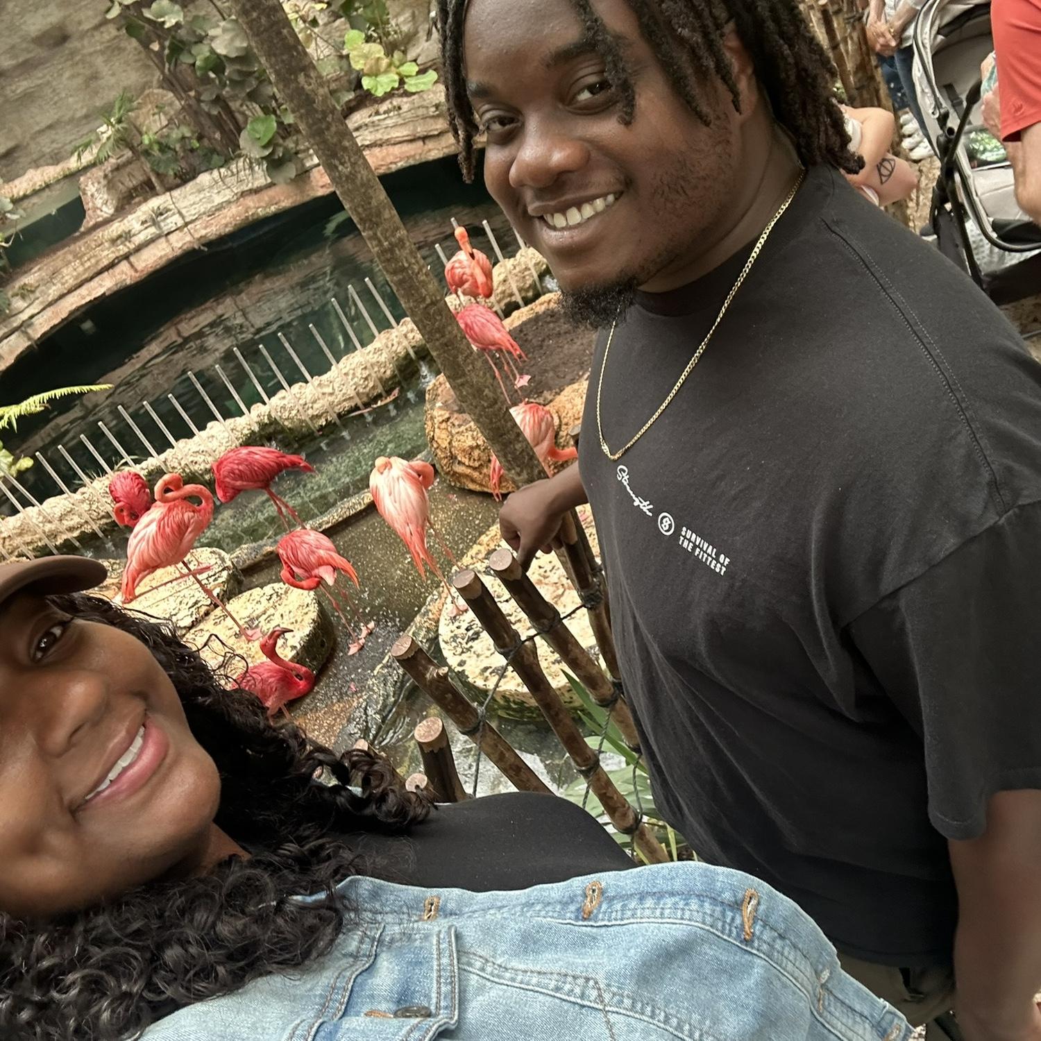 Aquarium date!