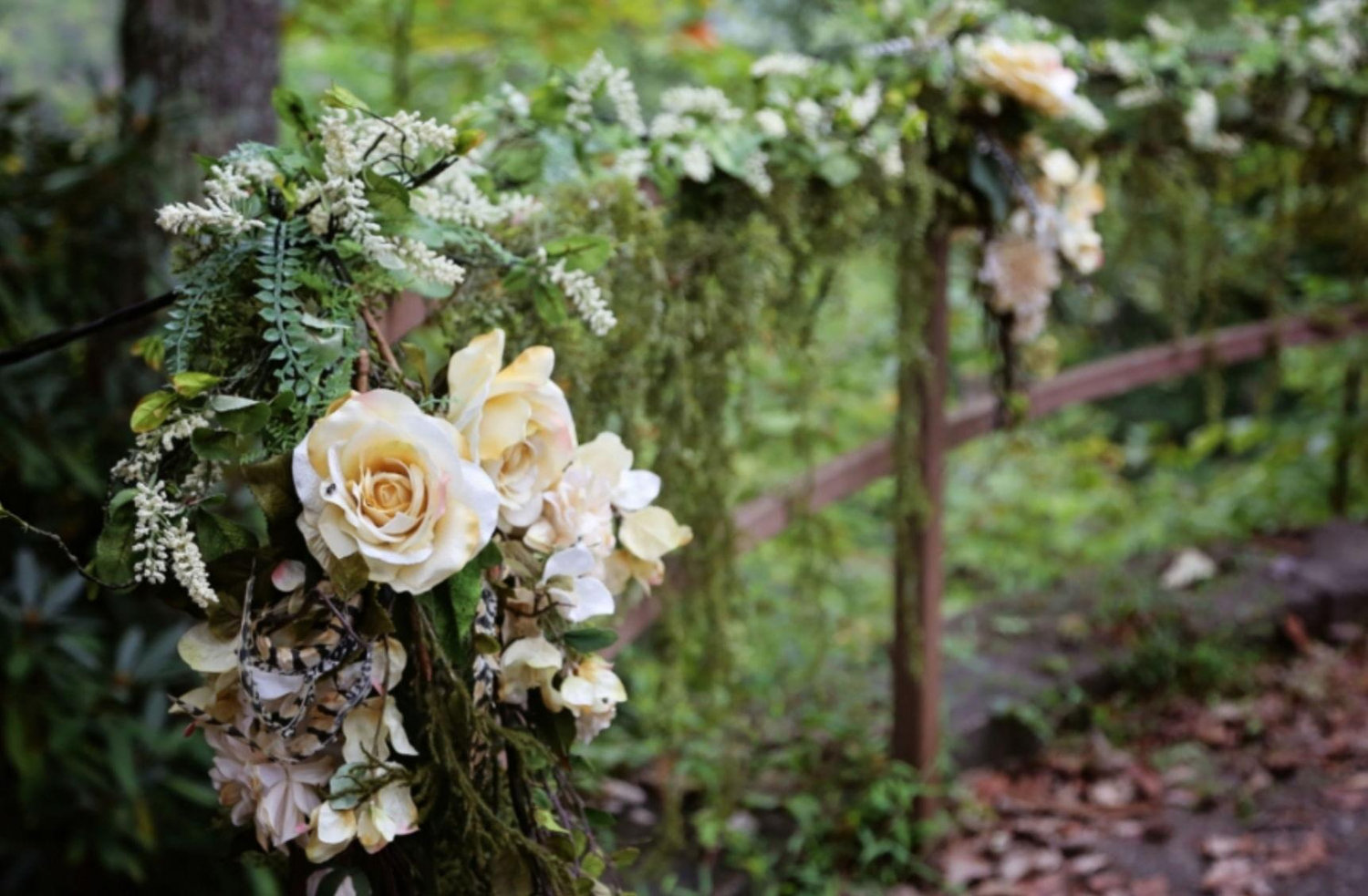 The Wedding Website of Haylie Roney and Anthony Collins