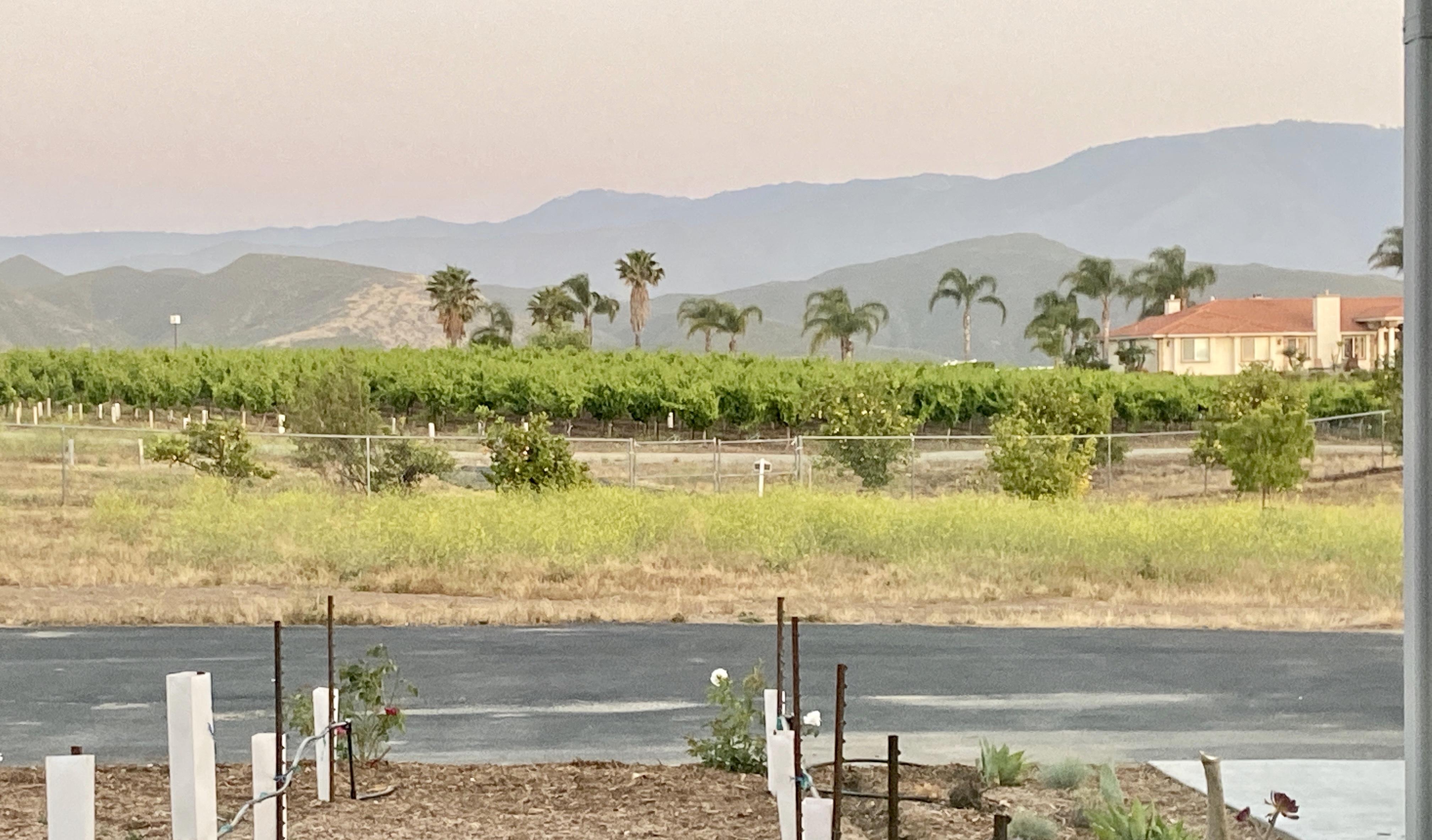 The Wedding Website of Verity Buchanan and Paul Rieper