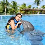Dolphin Discovery