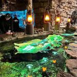 Bass Pro Outdoor World / Wonders of Wildlife